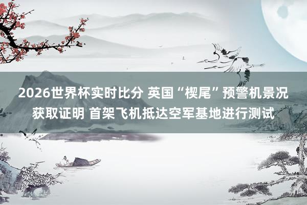 2026世界杯实时比分 英国“楔尾”预警机景况获取证明 首架飞机抵达空军基地进行测试