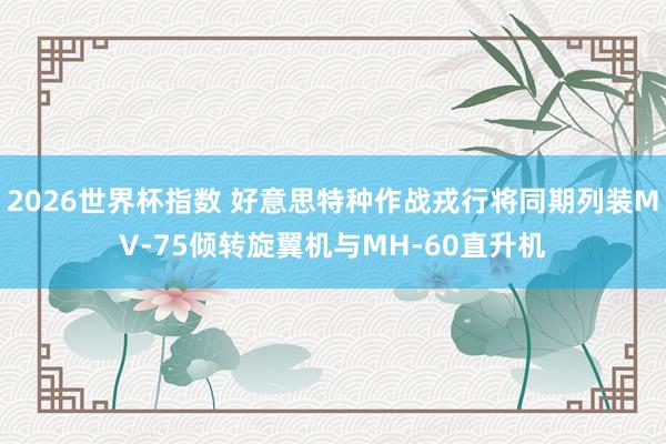 2026世界杯指数 好意思特种作战戎行将同期列装MV-75倾转旋翼机与MH-60直升机