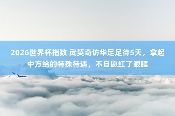 2026世界杯指数 武契奇访华足足待5天,拿起中方给的特殊待遇,不自愿红了眼眶