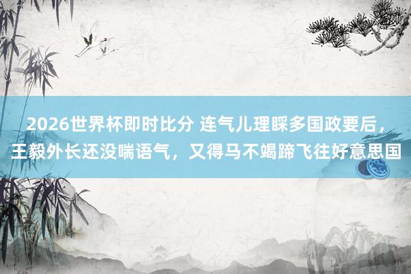 2026世界杯即时比分 连气儿理睬多国政要后，王毅外长还没喘语气，又得马不竭蹄飞往好意思国