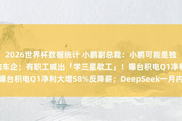 2026世界杯数据统计 小鹏副总裁:小鹏可能是独一接待特斯拉FSD入华的车企;有职工喊出「学三星歇工」!曝台积电Q1净利大增58%反降薪;DeepSeek一月内宕机三次