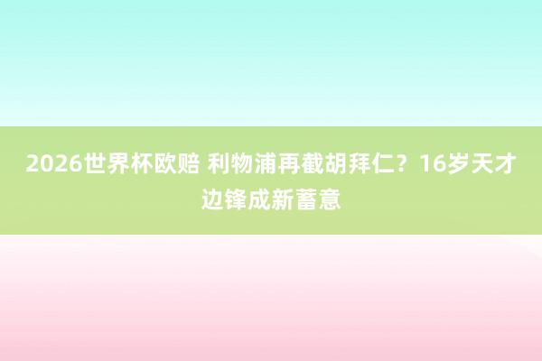 2026世界杯欧赔 利物浦再截胡拜仁？16岁天才边锋成新蓄意