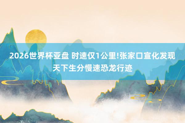 2026世界杯亚盘 时速仅1公里!张家口宣化发现天下生分慢速恐龙行迹