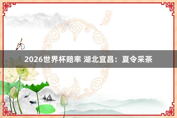 2026世界杯赔率 湖北宜昌：夏令采茶