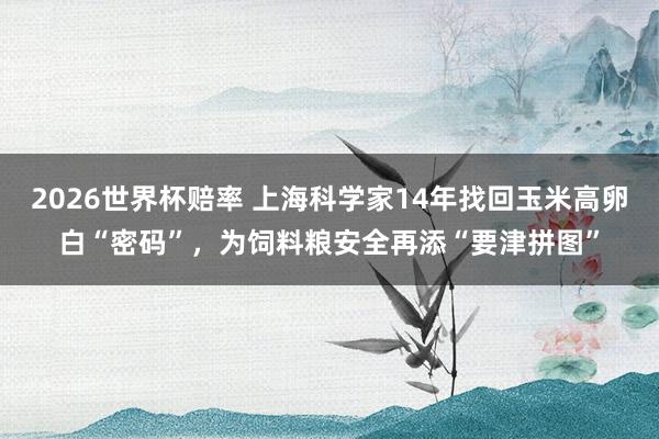 2026世界杯赔率 上海科学家14年找回玉米高卵白“密码”，为饲料粮安全再添“要津拼图”