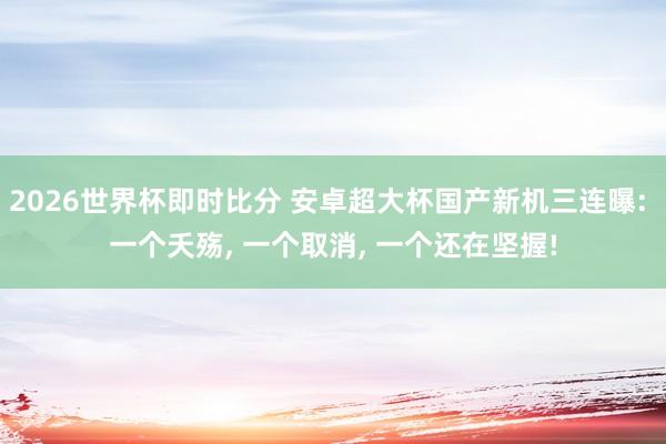 2026世界杯即时比分 安卓超大杯国产新机三连曝: 一个夭殇， 一个取消， 一个还在坚握!