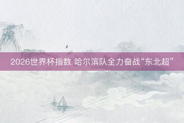 2026世界杯指数 哈尔滨队全力奋战“东北超”