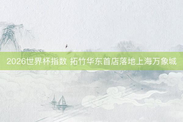 2026世界杯指数 拓竹华东首店落地上海万象城
