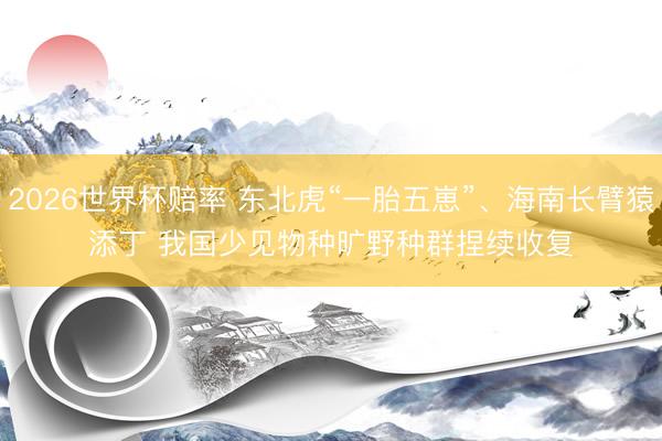 2026世界杯赔率 东北虎“一胎五崽”、海南长臂猿添丁 我国少见物种旷野种群捏续收复