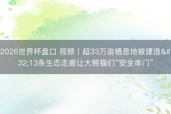 2026世界杯盘口 视频｜超33万亩栖息地被建造 13条生态走廊让大熊猫们“安全串门”