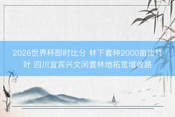 2026世界杯即时比分 林下套种2000亩淡竹叶 四川宜宾兴文闲置林地拓宽增收路