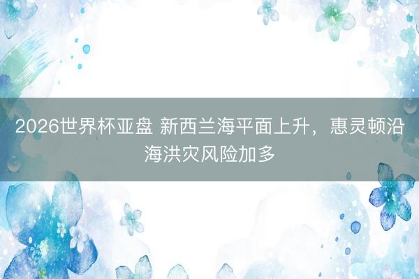 2026世界杯亚盘 新西兰海平面上升，惠灵顿沿海洪灾风险加多