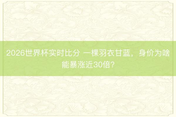 2026世界杯实时比分 一棵羽衣甘蓝，身价为啥能暴涨近30倍？