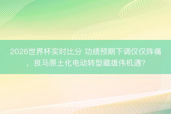 2026世界杯实时比分 功绩预期下调仅仅阵痛，良马原土化电动转型藏雄伟机遇?